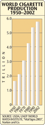 world consumption