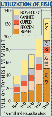Utilization of Fish
