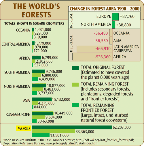 grassland  climate