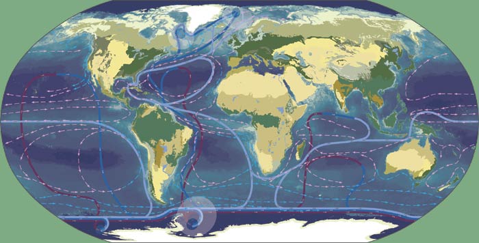 What are the eight biomes found on Earth?