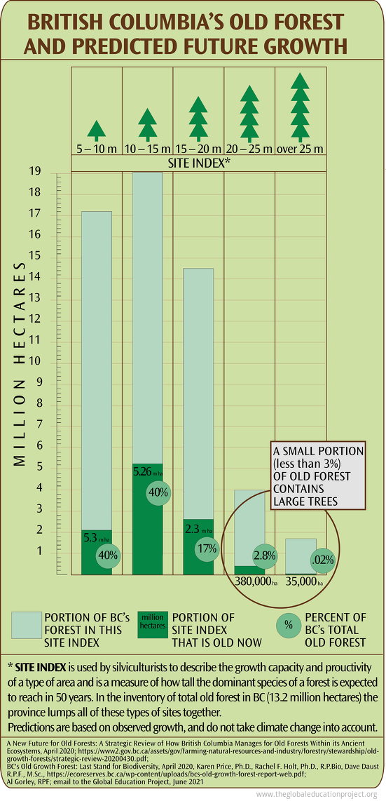 Old Forests of British Columbia