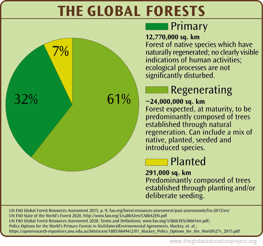 Global Forest