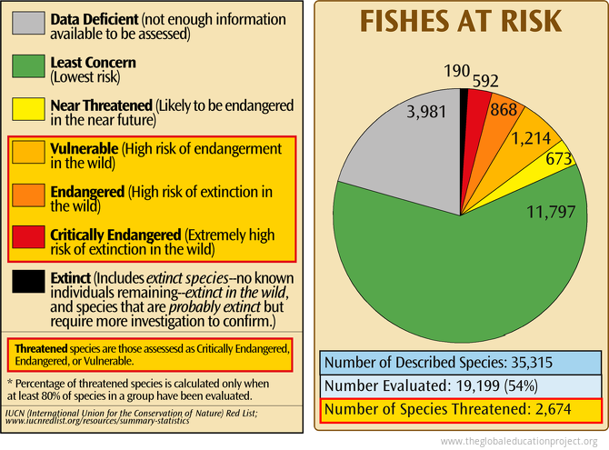 Fishes at Risk of Extinction