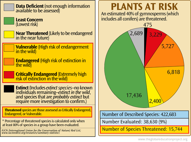 Plants at Risk of Extinction