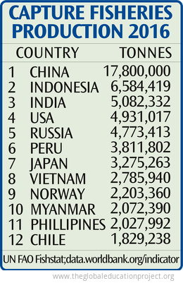 Fisheries Capture by Country