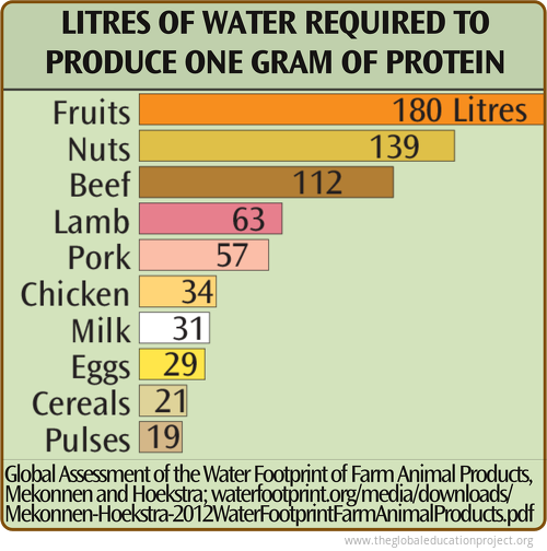 Water Required by Food Type