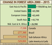 Change in Forest Area by Region