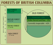 Forests of British Columbia