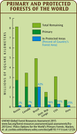 Primary and Protected Forests