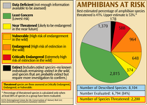 Amphibians at Risk of Extinction