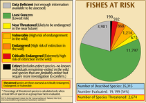 Fishes at Risk of Extinction