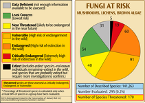 Fungi at Risk of Extinction