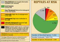 Reptiles at Risk of Extinction