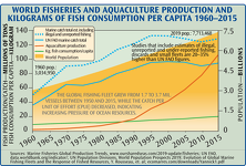 Total World Fisheries and Aquaculture Production Per Capita