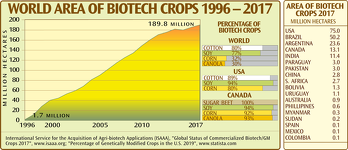 Biotech Food Crops