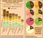 Food Loss and Waste