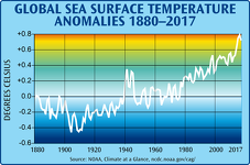 Global Sea Surface Temperature