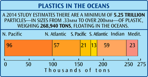 Plastics in the Ocean