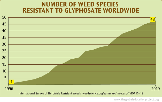 Glyphosate Resistant Weeds