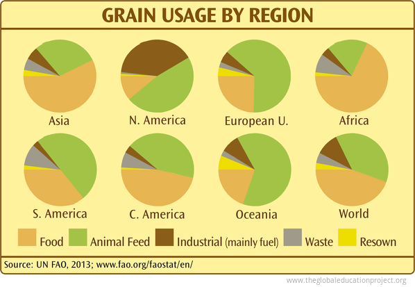 Grain Usage by Region Grain Usage by Region