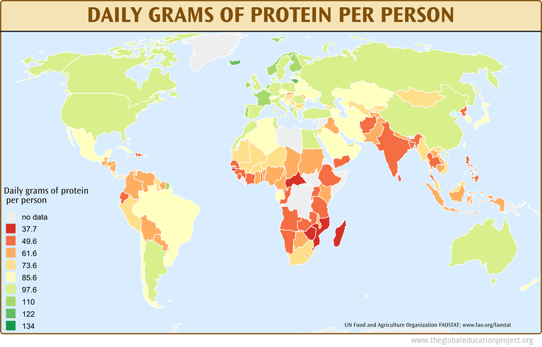 Daily Grams of Protein Daily Grams of Protein