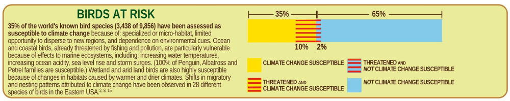 Birds at Risk from Climate Change