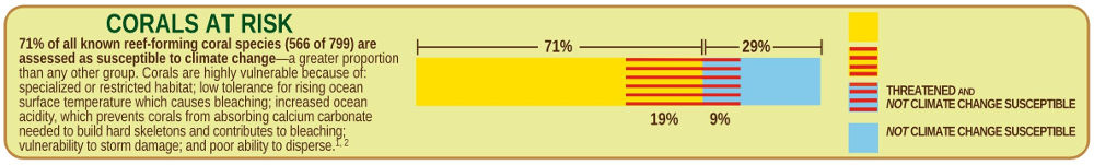 Corals at Risk from Climate Change