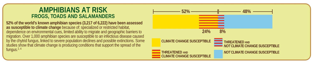 Amphibians at Risk from Climate Change