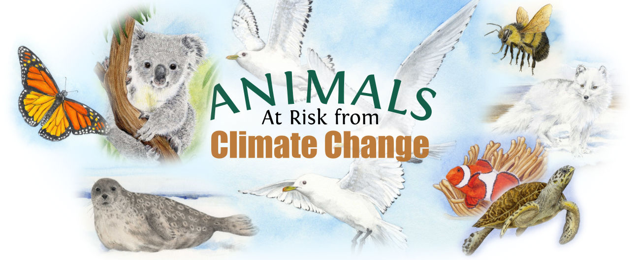 Animals At Risk from Climate Change
