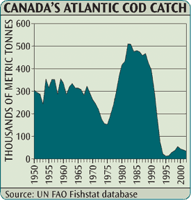 Fish Population Chart