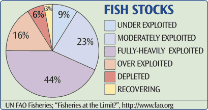 Fish Population Chart