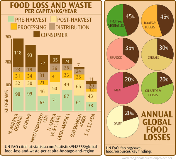 Chart of Food Loss and Waste The Global Education Project