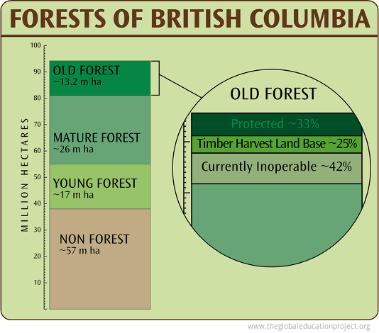Forests of British Columbia