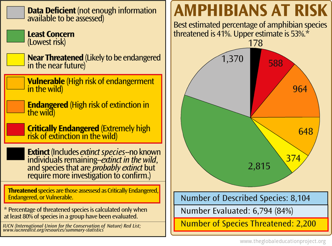 Amphibians at Risk of Extinction