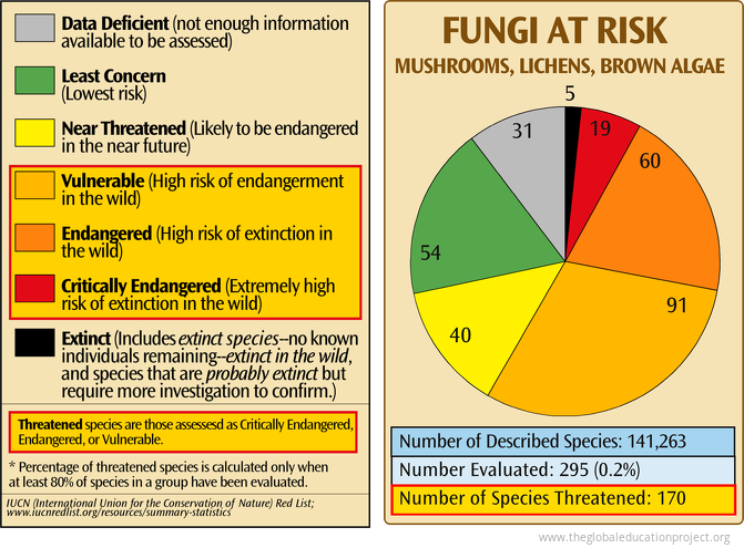 Fungi at Risk of Extinction