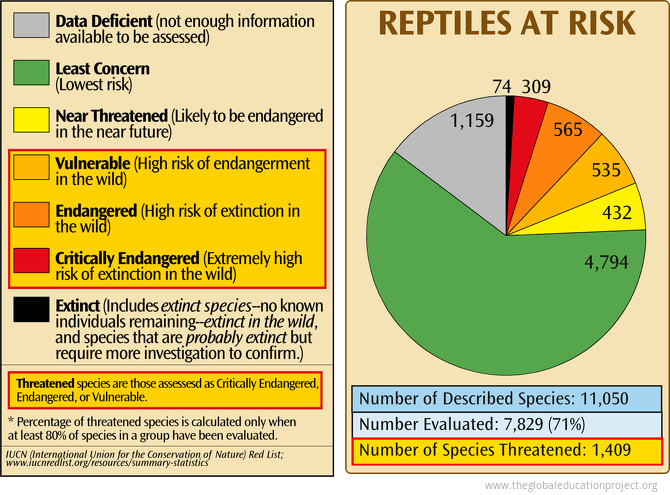 Reptiles at Risk of Extinction