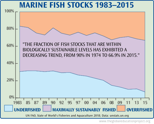 Marine Fish Stocks