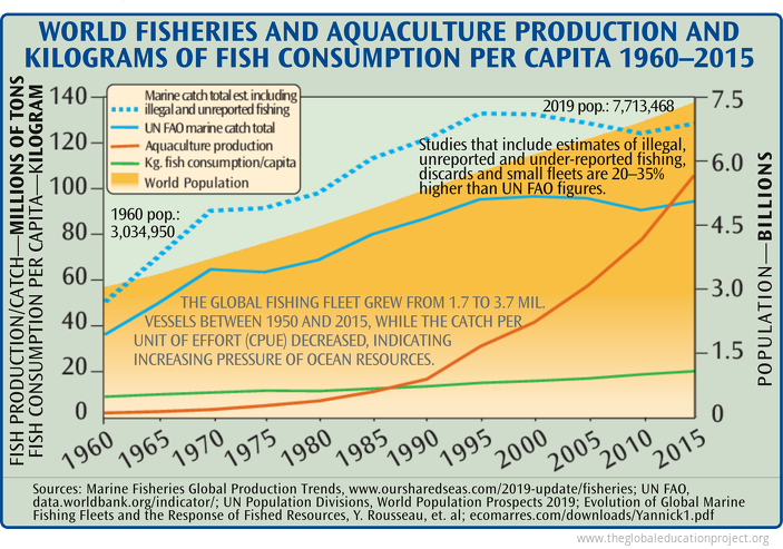 Total World Fisheries and Aquaculture Production Per Capita