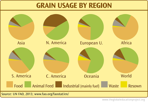 Grain Usage by Region