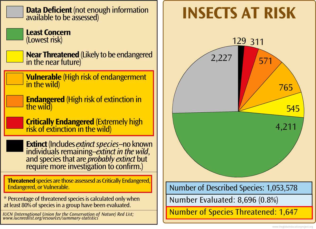 Insect Ecosystem Graph Chart of Insects at Risk of Extinction - The Global Education Project
