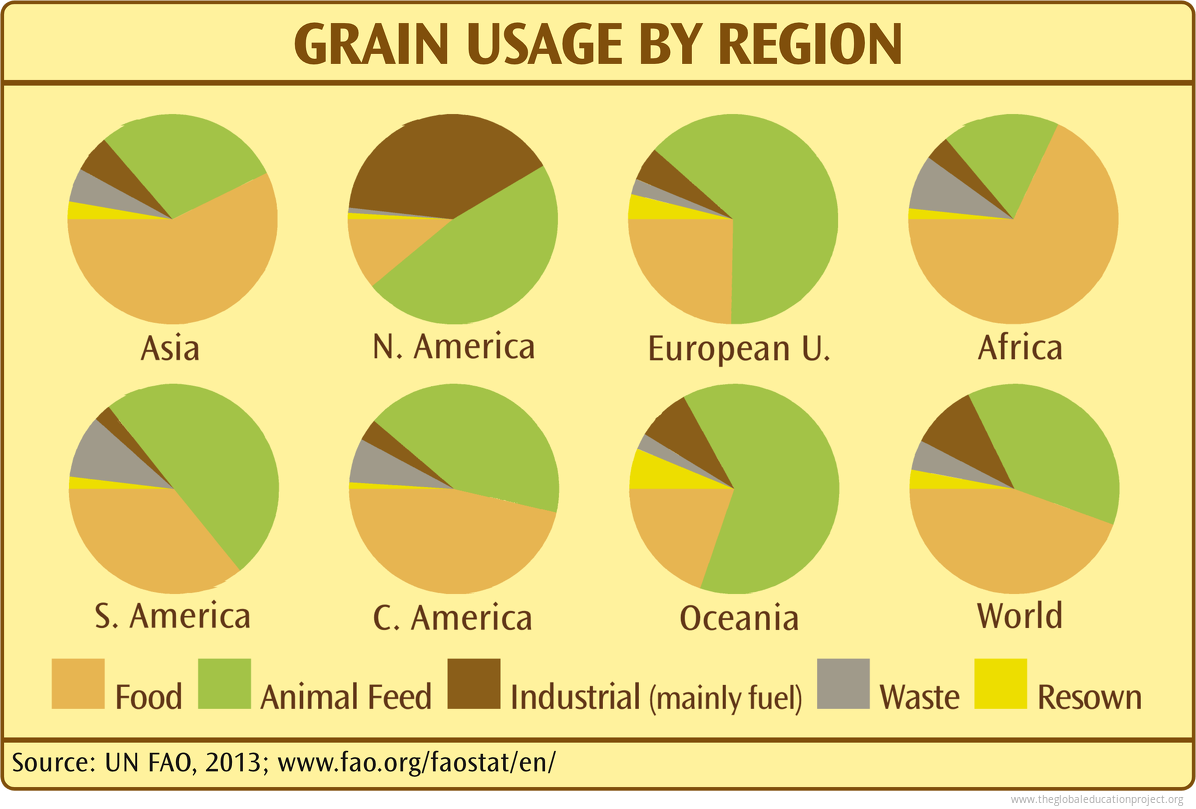 food_grain-use-by-region-2019.png