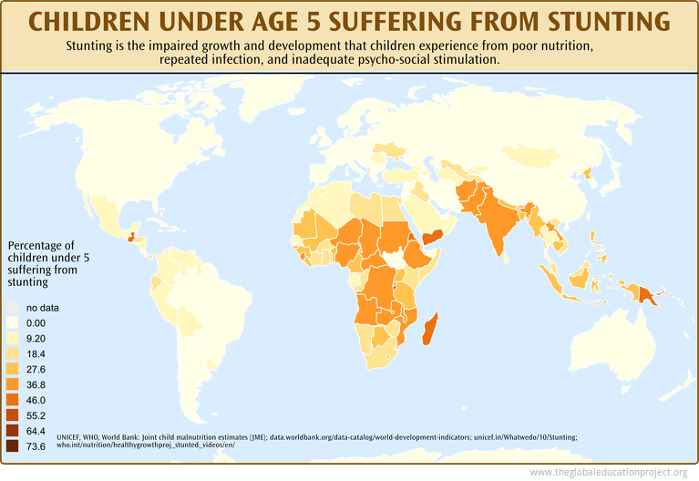 Children Under the Age of Five Suffering From Stunting