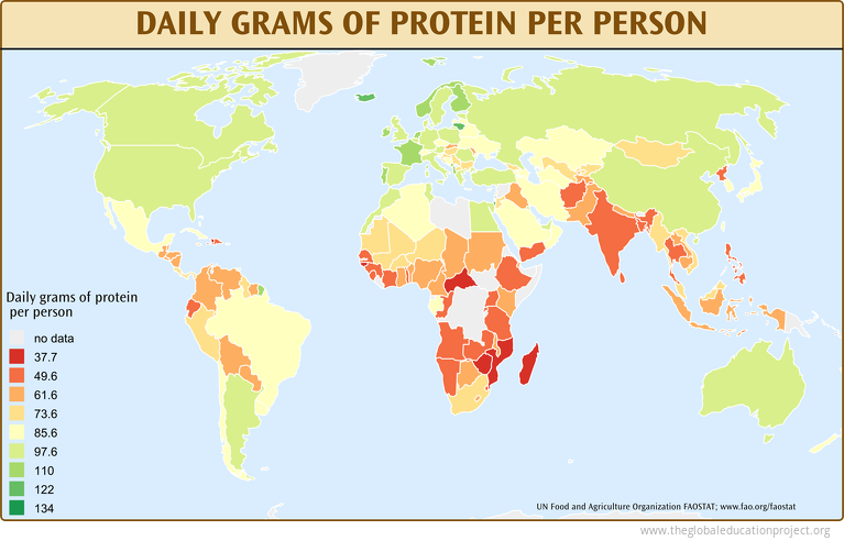 Daily Grams of Protein