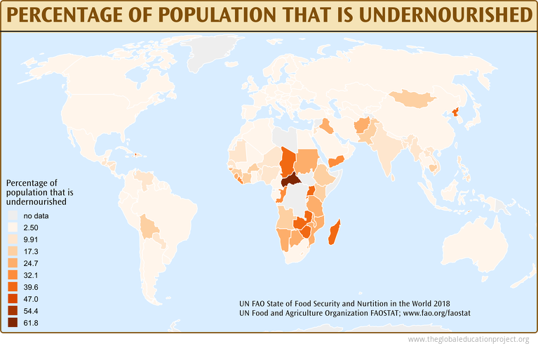 Percentage of the Population that is Undernourished
