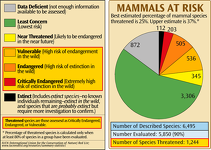 Mammals at Risk of Extinction