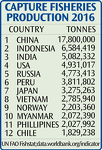 Fisheries Capture by Country